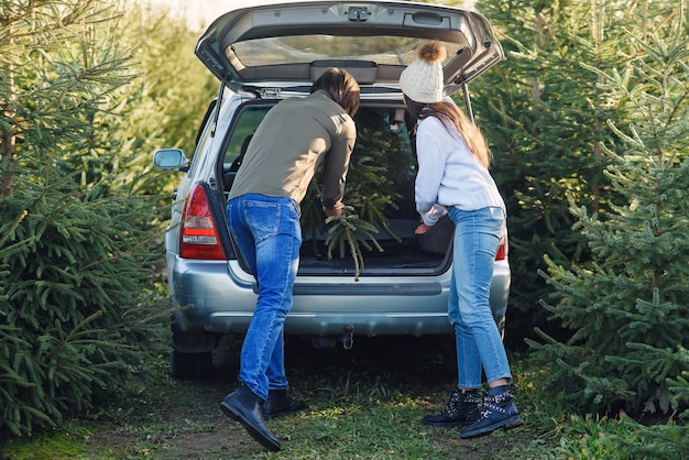 Foto schönes fröhliches junges paar, das in autokofferraum schönen tannenbaum an weihnachtsbaumpflanzungen setzt