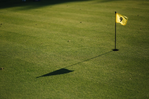 Schönes grünes Feldgolfgras und Loch mit Flagge.