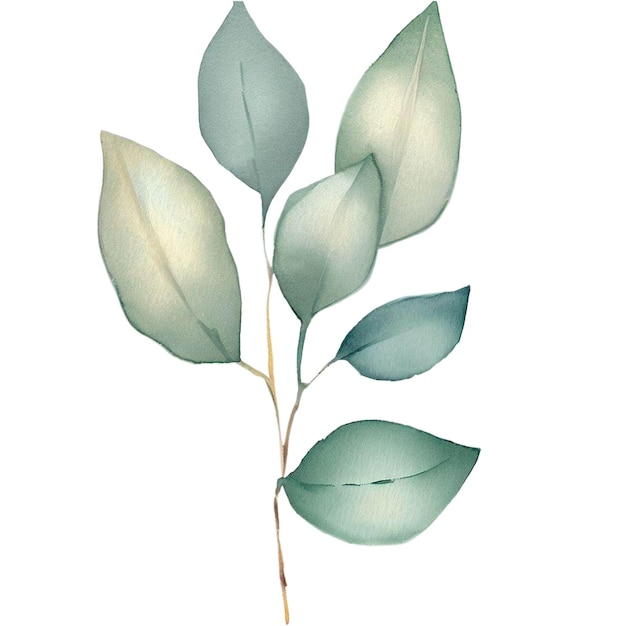 Schönes handgemaltes Aquarell-Clipart