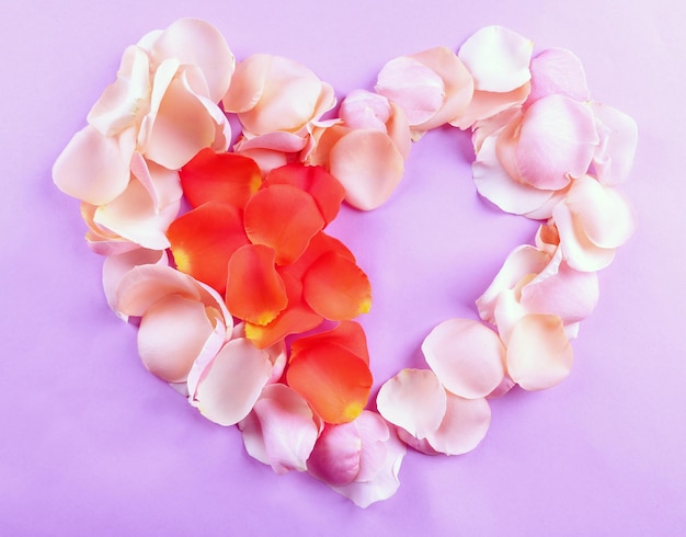 Schönes Herz aus Rosenblättern auf lila Hintergrund
