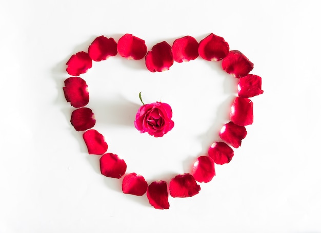 Schönes Herz aus roten Rosenblättern isoliert
