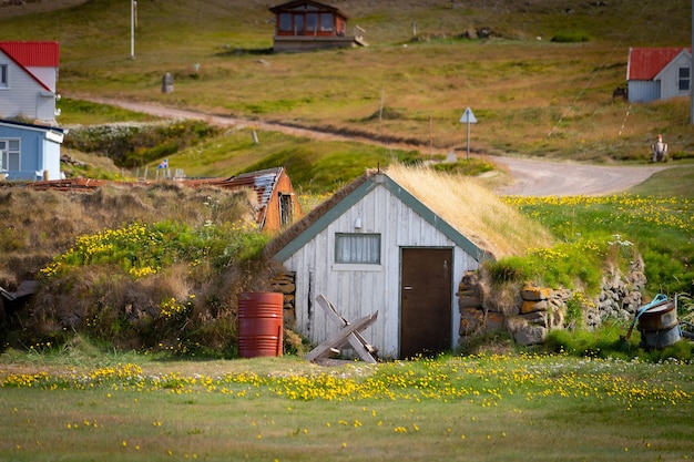 Schönes isländisches Haus mit Rasendach und grünem Gras.