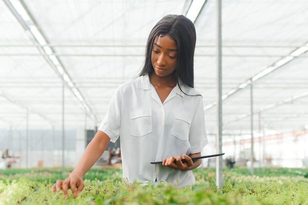 Schönes junges lächelndes Afroamerikanermädchen, Arbeiter mit Blumen im Gewächshaus.