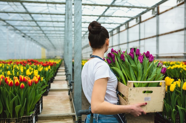 Schönes junges lächelndes Mädchen, Arbeiter mit Blumen im Gewächshausblick von hinten. Konzeptarbeit im Gewächshaus, Blumen.