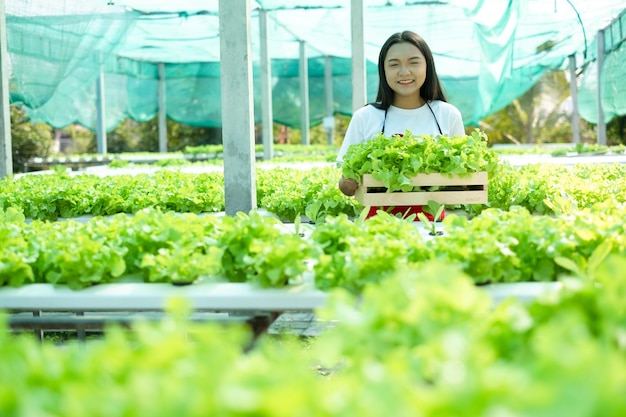 Schönes junges Mädchen, das in Hydroponik-Systemgemüse organischer kleiner Salatfarm arbeitet.