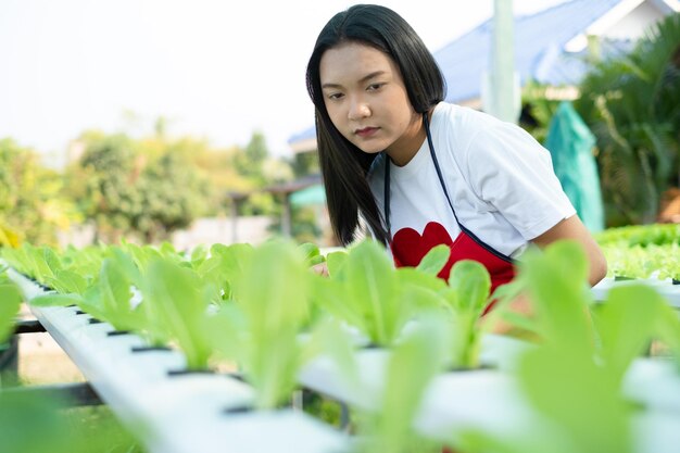 Schönes junges Mädchen, das in Hydroponik-Systemgemüse organischer kleiner Salatfarm arbeitet.