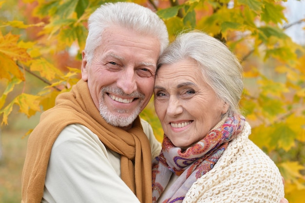 Schönes kaukasisches älteres Paar im Park