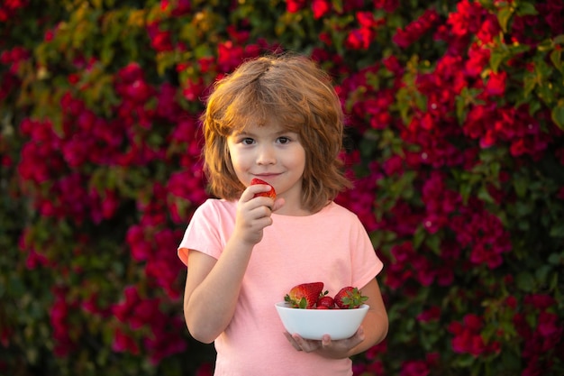 Schönes Kind, das Erdbeeren isst Gesunde Kindernahrung Biologische Ernährung