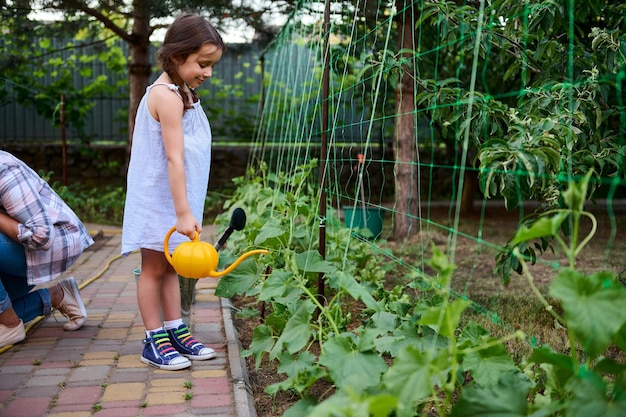 Schönes Kind, entzückendes kleines Mädchen, das eine Gießkanne verwendet, bewässert kultivierte Gurken im Blumenbeet in einer Öko-Farm der Familie