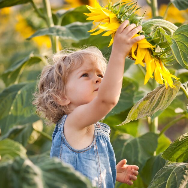 Schönes Kind mit Feld der Sonnenblume im Frühjahr