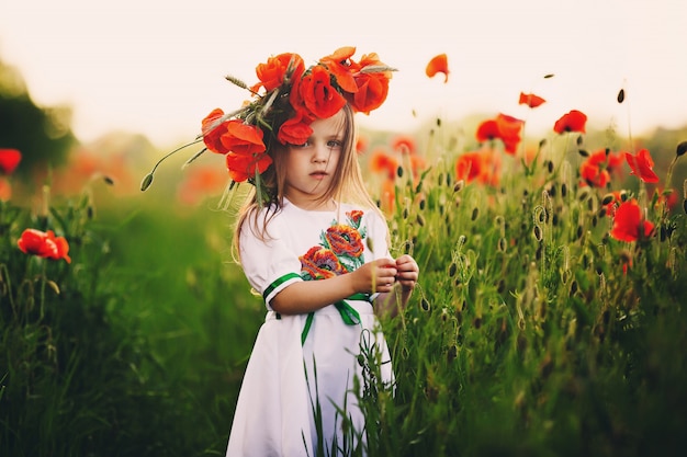 Schönes kleines Mädchen in einem Feld der roten Wildblumen