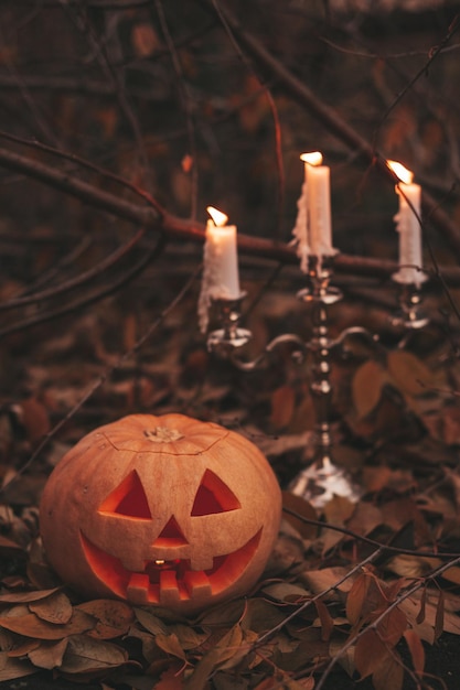 Schönes lächelndes orangefarbenes lustiges Gesicht geschnitzte Kürbisse für Halloween-Feiertage am Tag im Freien