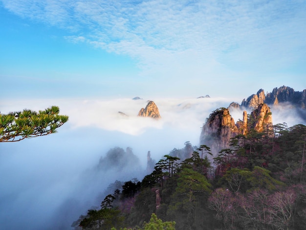 Schönes Landschaft Meer des Nebels an Huangshan-Berg in Anhui-Provinz, China.