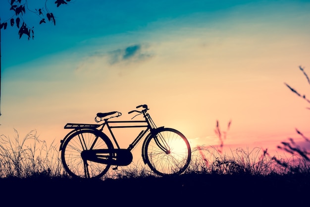 schönes Landschaftsbild mit Schattenbild-Fahrrad bei Sonnenuntergang in der Weinlese tonen Art