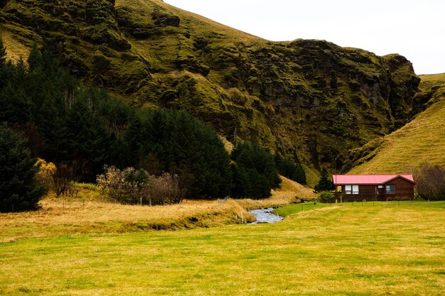 Schönes Landschaftsbild von Island mit blauem Himmel der Berge und grünem Gras