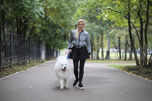 Schönes Mädchen auf einem Spaziergang mit einem schönen flauschigen Hund Samojede