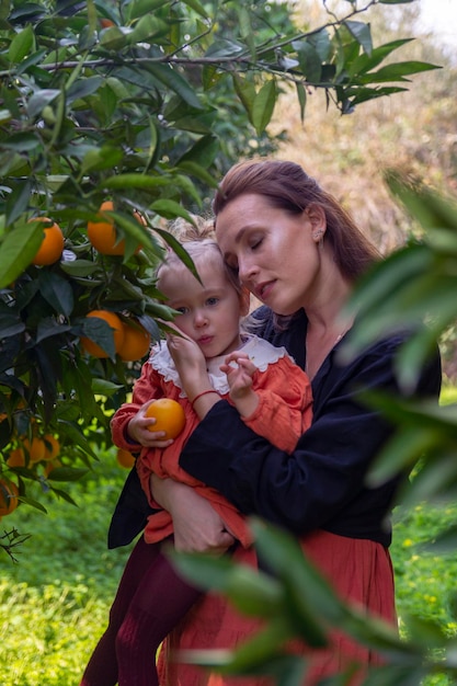 Schönes Mädchen im Orangengarten und reife Orangen auf den Ästen der Bäume