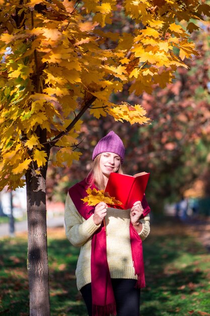 Schönes Mädchen in Strickmütze und Pullover mit Schal liest ein Buch im Herbstwald