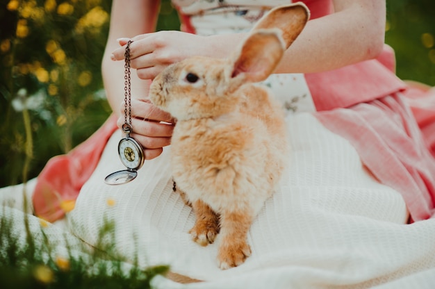 schönes Mädchen mit einem Kaninchen draußen am Sommertag