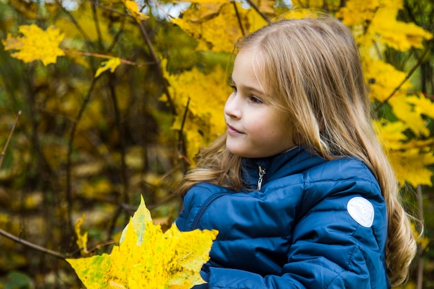 Schönes Mädchen mit langen blonden Haaren im Herbstpark. Braunäugiges Mädchen mit goldenen Locken auf einem Hintergrund von gelben Herbstblättern