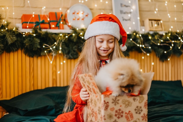 Schönes Mädchen mit Weihnachtsmütze hat einen Welpen als Geschenk für Neujahr, Weihnachtszauber und Wunder bekommen, Träume werden wahr