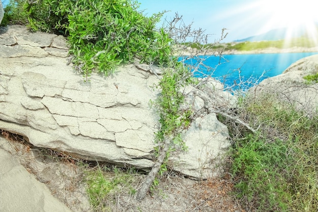 Schönes Meer mit Ufer auf Naturhintergrund