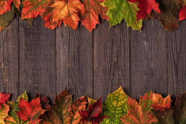 Schönes mehrfarbiges Herbstlaub.