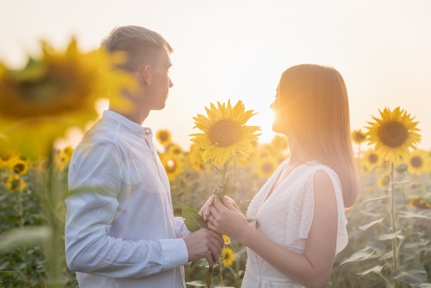Schönes Paar, das Spaß in Sonnenblumenfeldern hat, Mann, der Freundin eine Sonnenblume gibt