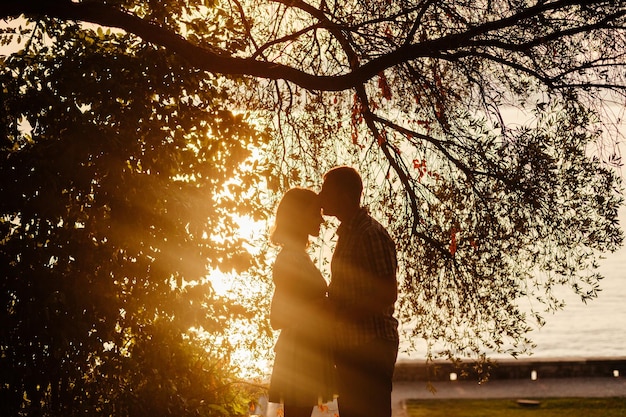 Schönes Paar entspannen im Park zusammen mit Sonnenlicht Silhouette