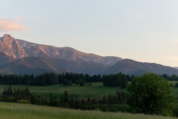 Schönes Panorama der polnischen Capratian Mountains in Zakopane bei Sonnenuntergang Schönes grünes Gras