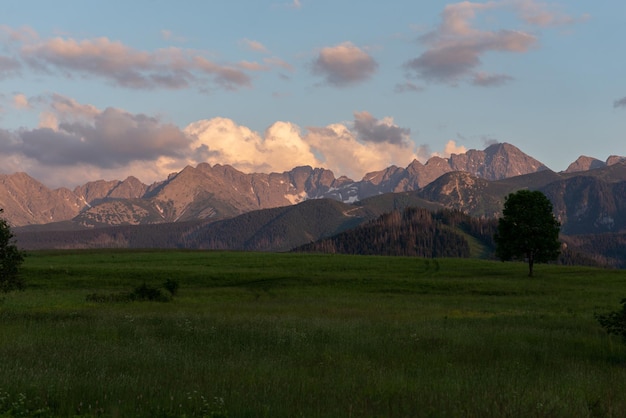 Schönes Panorama der polnischen Kapratischen Berge in Zakopane bei Sonnenuntergang Schönes grünes Gras