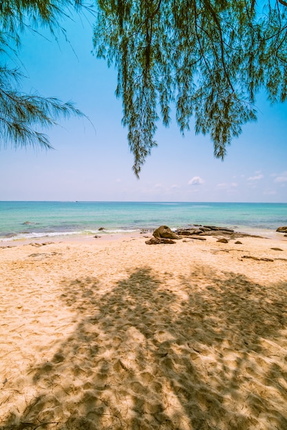 Schönes Paradies tropisch mit Strand und Meer