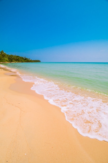 Schönes Paradies tropisch mit Strand und Meer