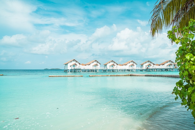 Schönes tropisches Malediven-Urlaubshotel und -insel mit Strand und Meer