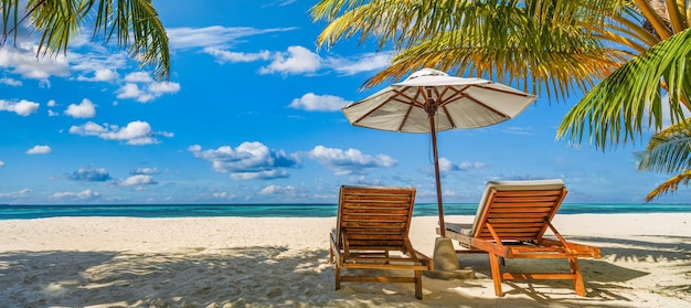 Schönes tropisches Strandbanner. Weiße Sandkokospalmen reisen Tourismus breites Panorama. Sommermeer