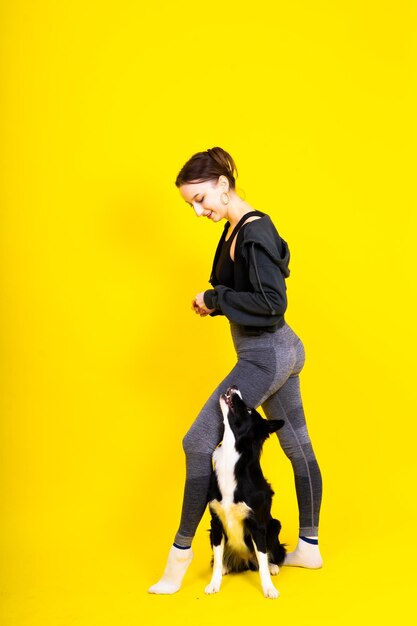 Schönes Weibchen mit Border Collie im Studio mit gelbem und rotem Hintergrund