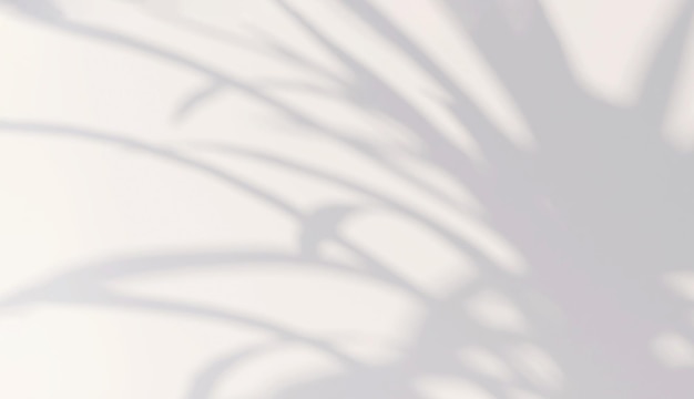 Schönes weiches, gestreiftes Licht und Pflanzenblattschatten auf einem minimalen weißen Wandhintergrund für moderne Luxus-Schönheits- und Kosmetikprodukte