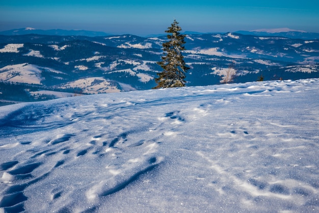 Schönes Winterpanorama der Hügel