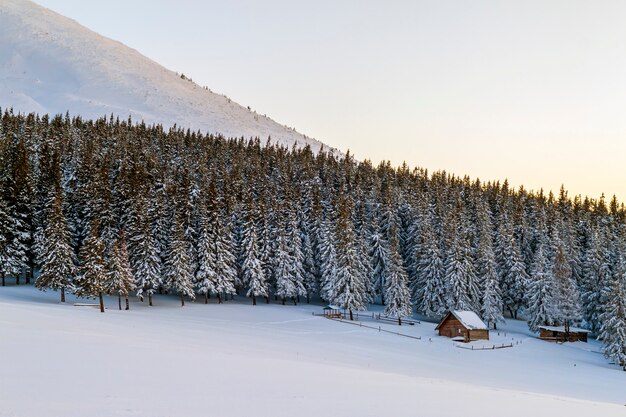 Schönes Winterpanorama