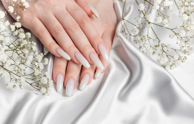 Schönheitsbehandlung schön manikürierte Fingernägel weibliche Nagelkunst mit schönem weißen Nagellack und Gypsophila Blumen