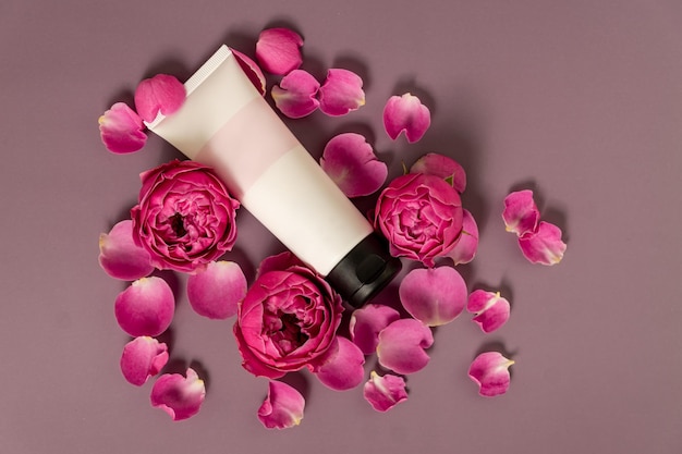 Schönheitsbehandlung. Tube mit rosa Rosen auf dunkelrosa Hintergrund. Beauty Spa und Wellness, Anti-Aging-Behandlungen mit Rosenblättern. Das Konzept der Jugend.