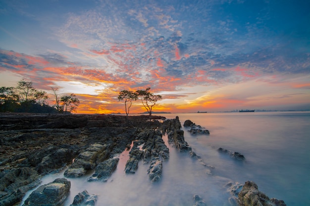 Schönheitssonnenuntergang und magrovenbaum am strand von tanjung pinggir