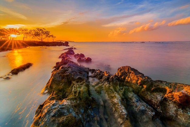 Schönheitssonnenuntergang und Magrovenbaum am Strand von Tanjung Pinggir