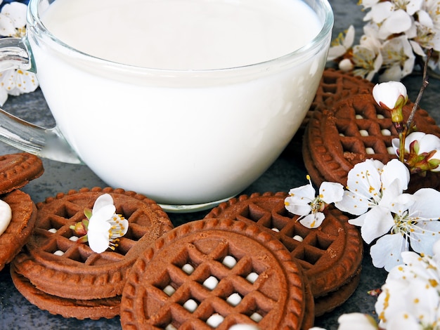 Schokoladenplätzchen mit weißen Sahne- und Kirschblüte-Blumen