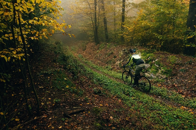 Foto schotterreiten im nebligen wald