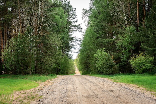 Schotterstraße entlang des Feldes.