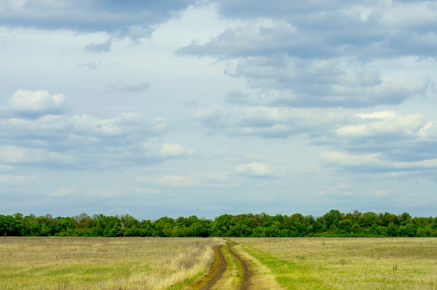 Schotterstraße gegen einen Waldgürtel und Himmel