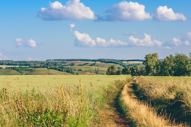 Schotterstraße im grünen Feld an einem sonnigen Tag. Hügel im Hintergrund.