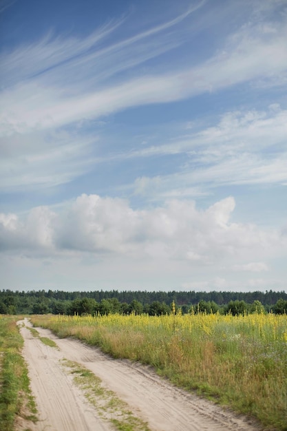 Schotterweg im gelben Feld und blauer Himmel mit weißen Wolken Ländliche Szene Landschaft schöne Feldstraße