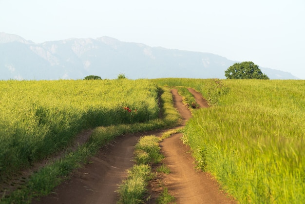 Schotterweg in einem landwirtschaftlichen Feld